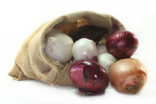 colorful onion in a bag on a white background