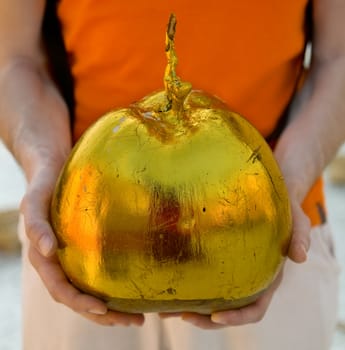 golden big nut   in the hand for Religious Offering