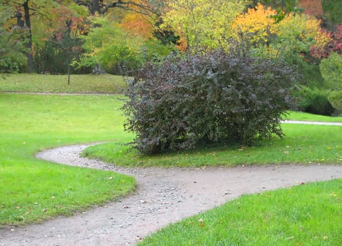 A path in a Japan garden