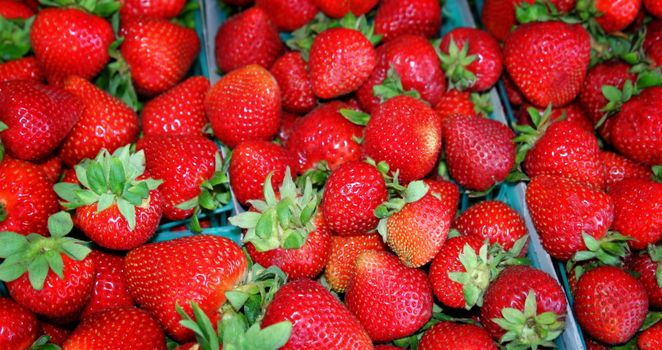 Large collection of delicious red strawberries