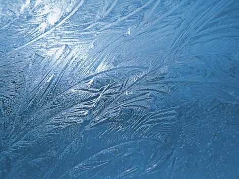 An ornament of frost on a window