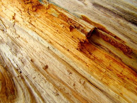 wood close up
