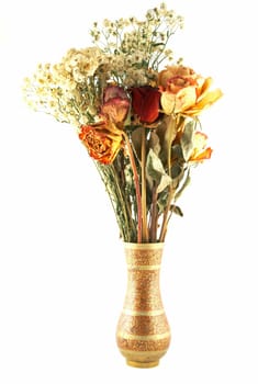 dried flowers on a white background