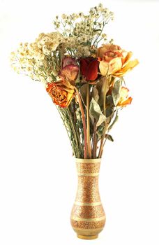 dried flowers on a white background