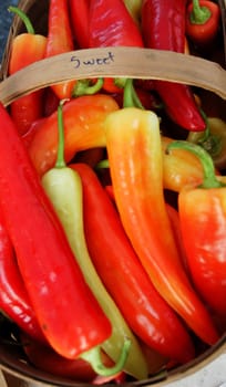 A large basket of peppers at the farmers market