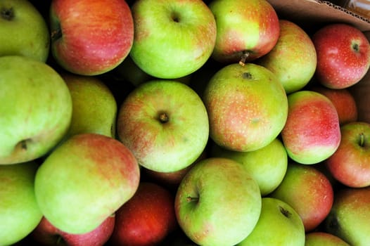 A box of apples at the farmers market