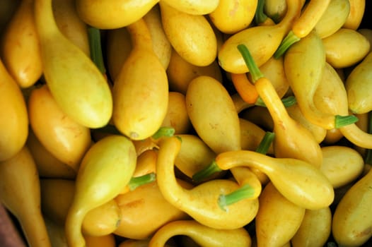 Yellow squash at the market for sale