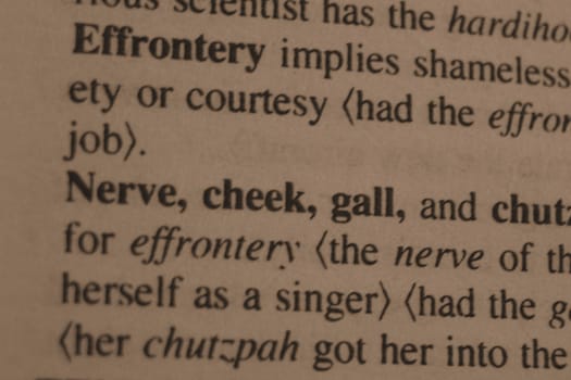 Nerve as seen in a dictionary