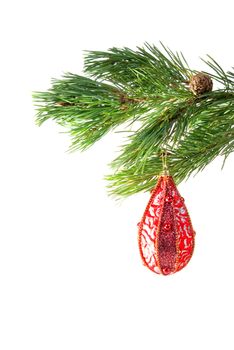 Christmas decoration on the tree isolated on white
