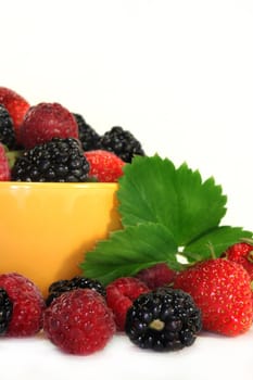 fresh forest berries in a small bowl