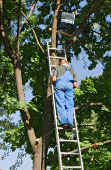 worker repairing a lantern hanging on a tree