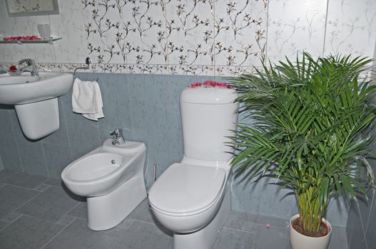 bathroom facilities interior