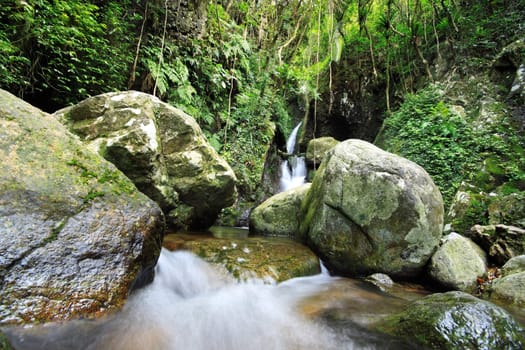 Waterfall making its way into a pond in the rainforest 