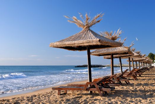 empty sunchairs and umbrellas on the sunny beach