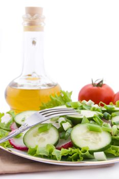 Redish, cucumber and onion salad with oil