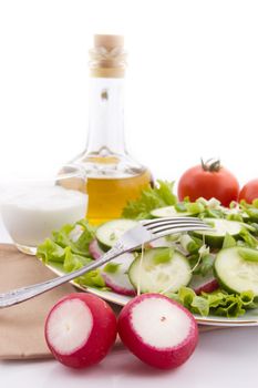 Redish, cucumber and onion salad with oil