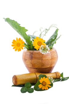 Mortar with herbs and marigolds isolated on white