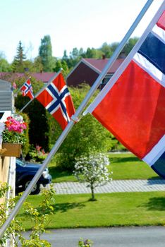 Norwegian flags.