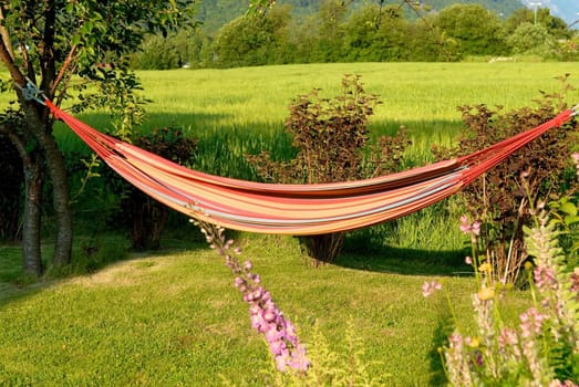 pink hammock in the garden. Please note: No negative use allowed.