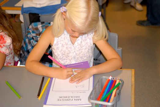 a girl doing homework. Please note: No negative use allowed.