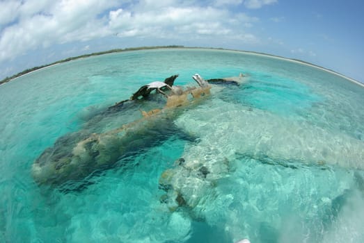 Drug plane crashed at normans cay