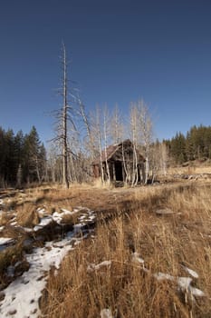 Old abandoned home shack