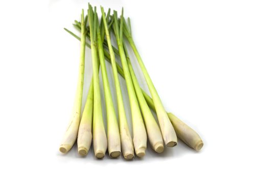 Fresh Lemon Grass on white background