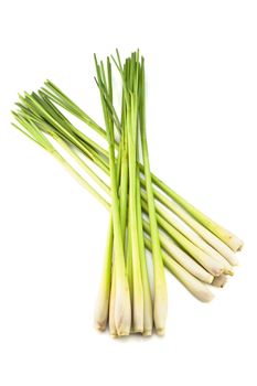 Fresh Lemon Grass on white background