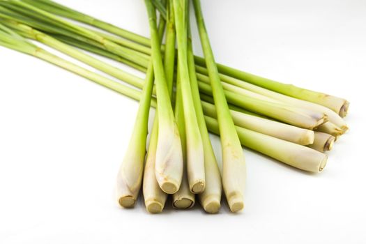 Fresh Lemon Grass on white background