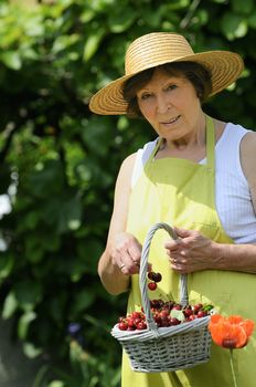 Senior woman with a cherrys basket in a garden