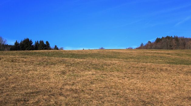 Countryside landscape with beautiful blue sky