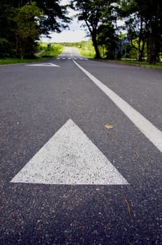 asphalt road in the resort and white line