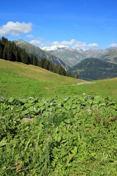 Landscape of Alps mountain from Pre pass by summer, France