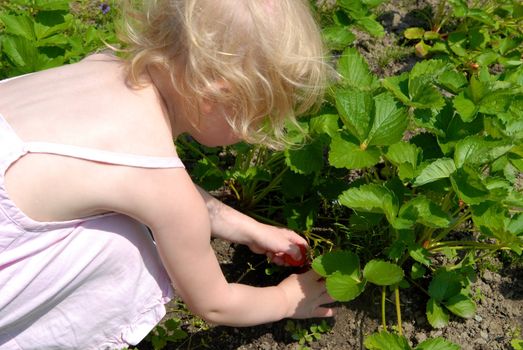 girl playing in the garden. Please note: No negative use allowed.