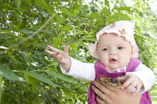 child reaches for green leafs