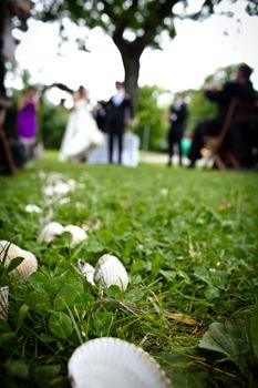 Outdoor wedding with shells as decoration.