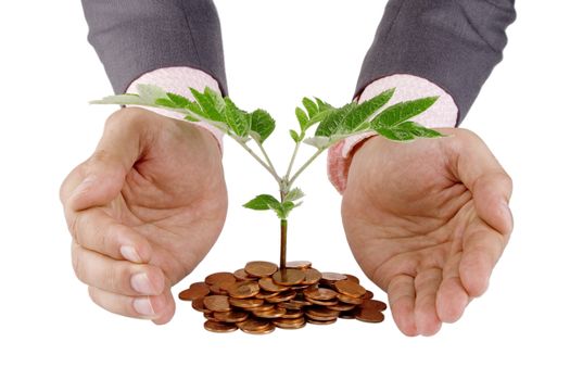 Businessman protecting plant sprouting from a pile of coins - good investment and money concept