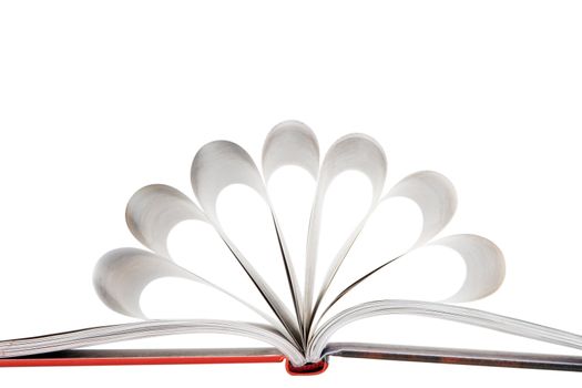 close-up of book pages folded into a flower shape on white background