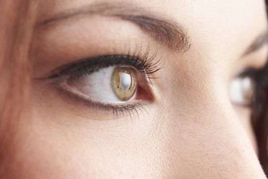 close up of womans brown eye with false eye lashes