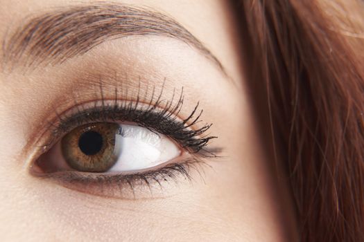 close up of womans brown eye with false eye lashes