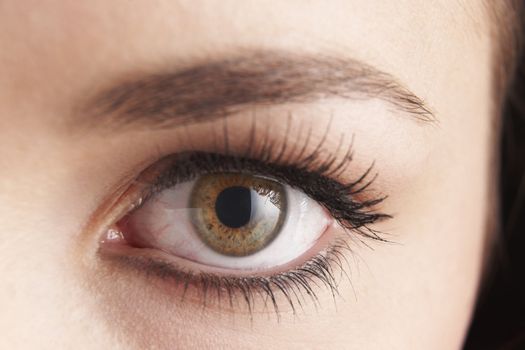 close up of womans brown eye with false eye lashes