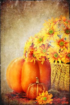 Autumn or Thanksgiving Bouquet with pumpkins and leaves against a white background. Copyspace available.