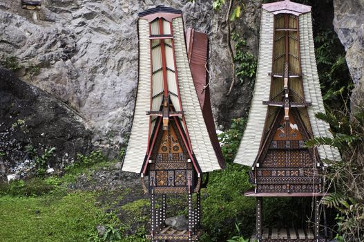 Toraja Traditional funeral tomb in Sulawasi, Indonesia