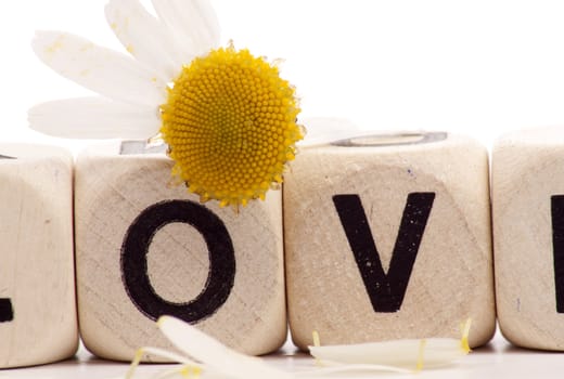 Love written with dice over a white background