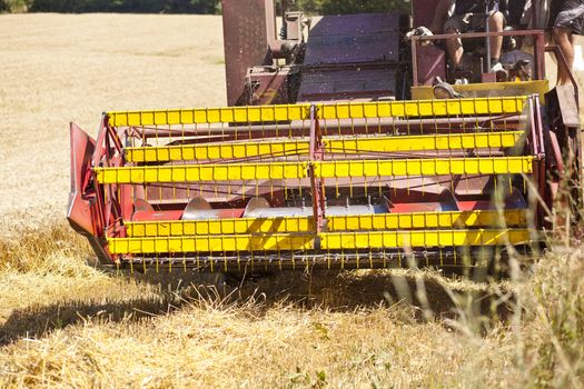 Combine Harvester in wheat corn field