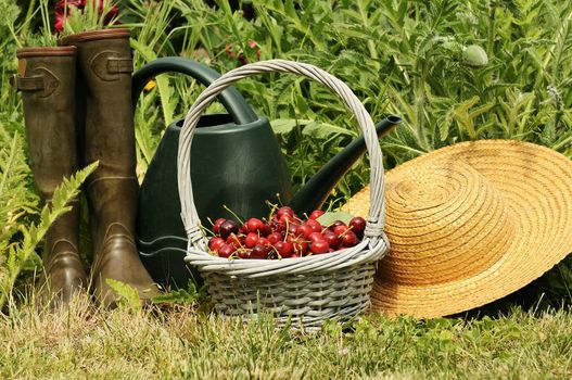 basket of cherries and straw hat in a flower garden