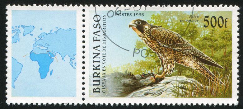 BURKINA FASO CIRCA 1996: stamp printed by Burkina Faso, shows Peregrine Falcon, circa 1996