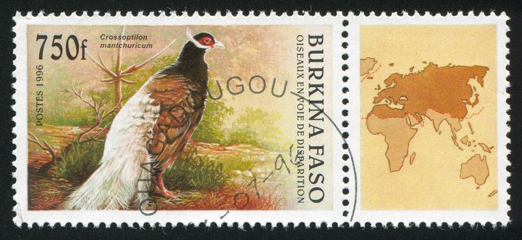 BURKINA FASO CIRCA 1996: stamp printed by Burkina Faso, shows Pheasant, circa 1996