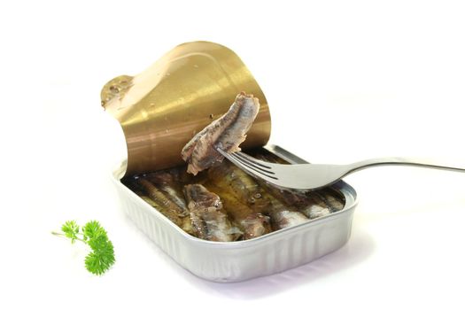 canned anchovies with parsley before a white background