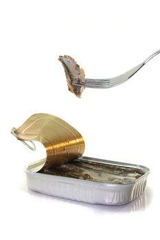 anchovies on a fork with canned before a white background